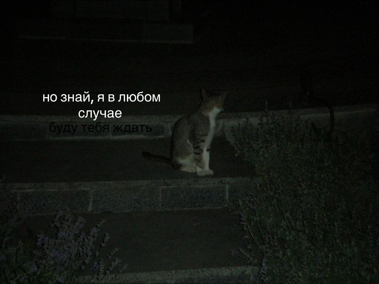 @ретвис