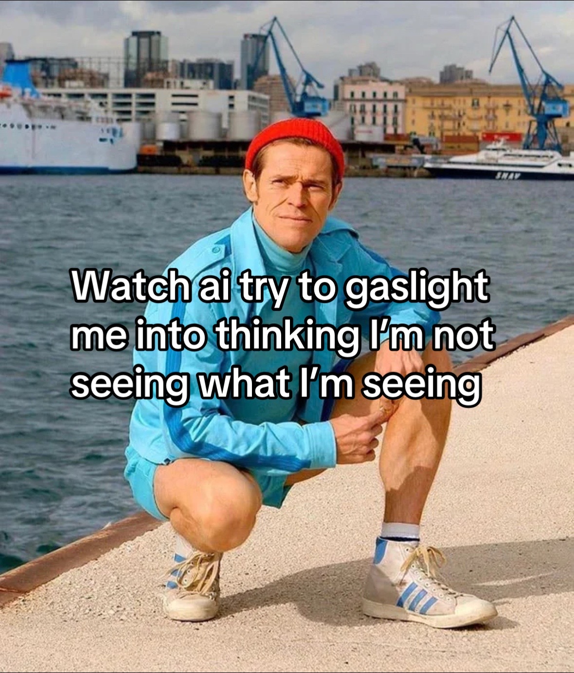 @DogsEye