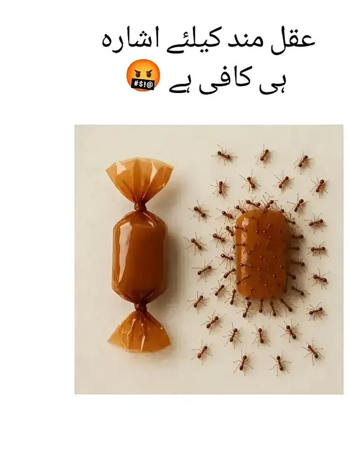 @REHANU.🍁