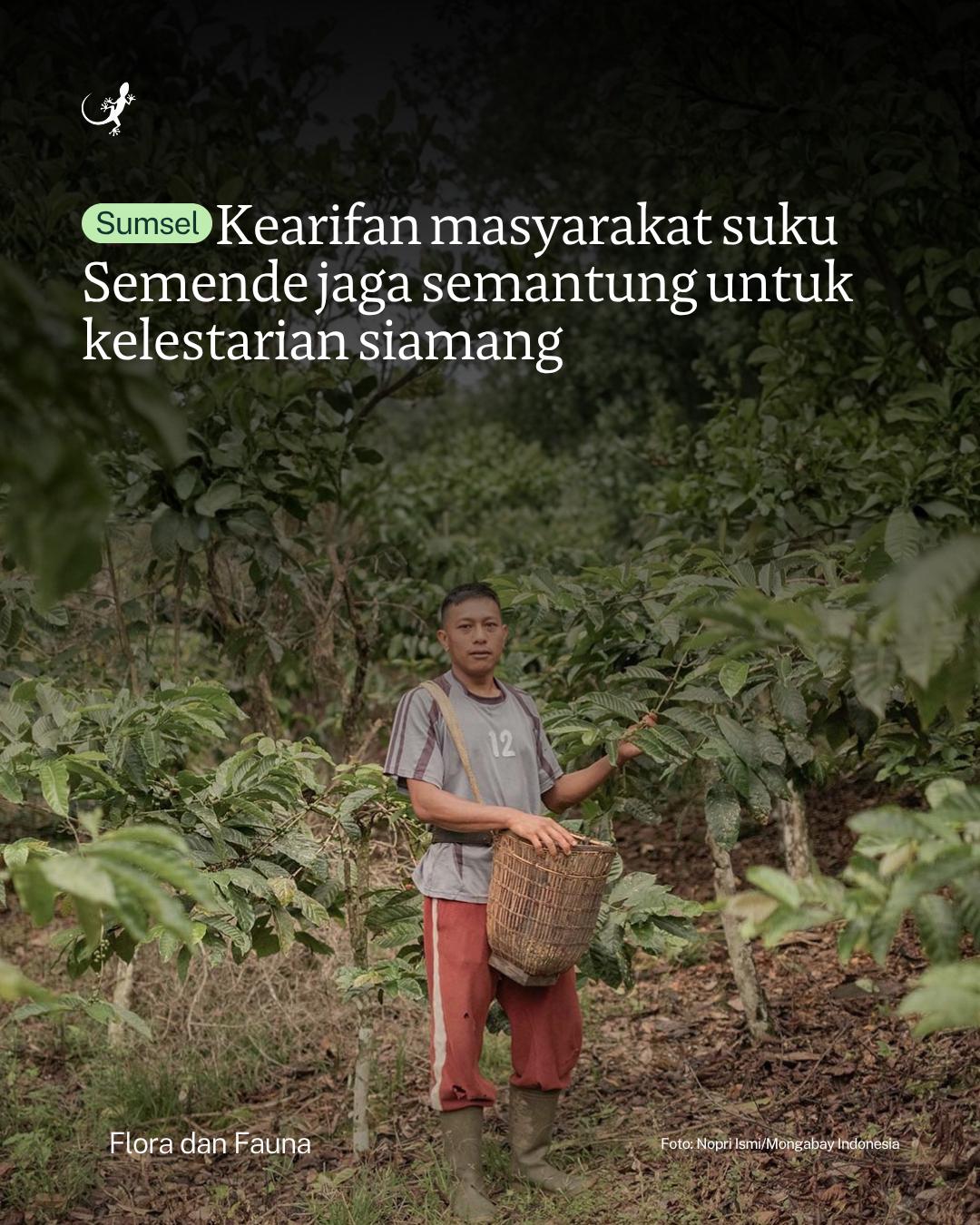 @mongabayindonesia
