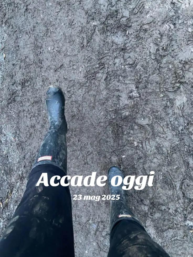 @شمس 🇮🇹