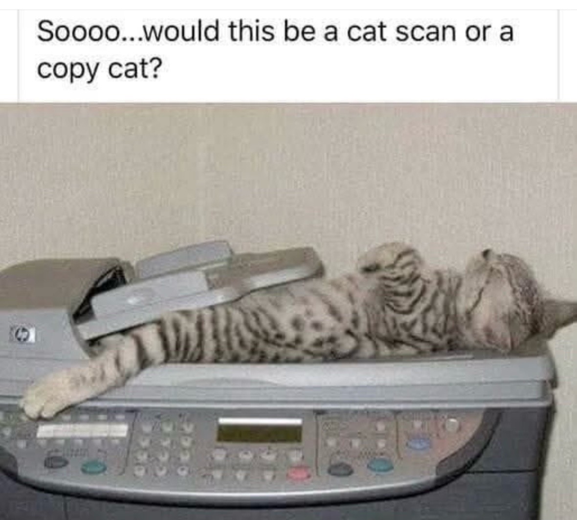 @Bratcats