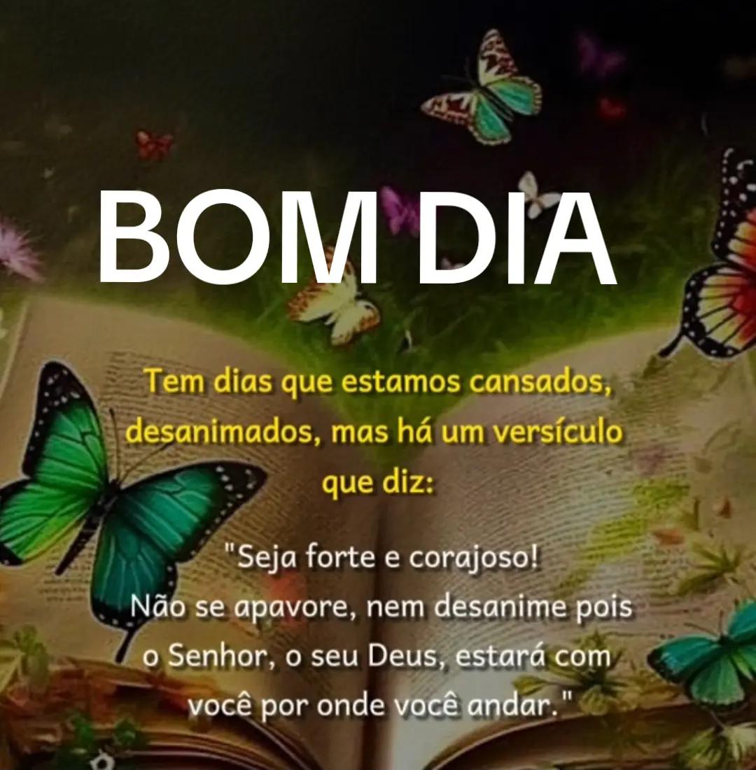 @Luciana Santos Chaga