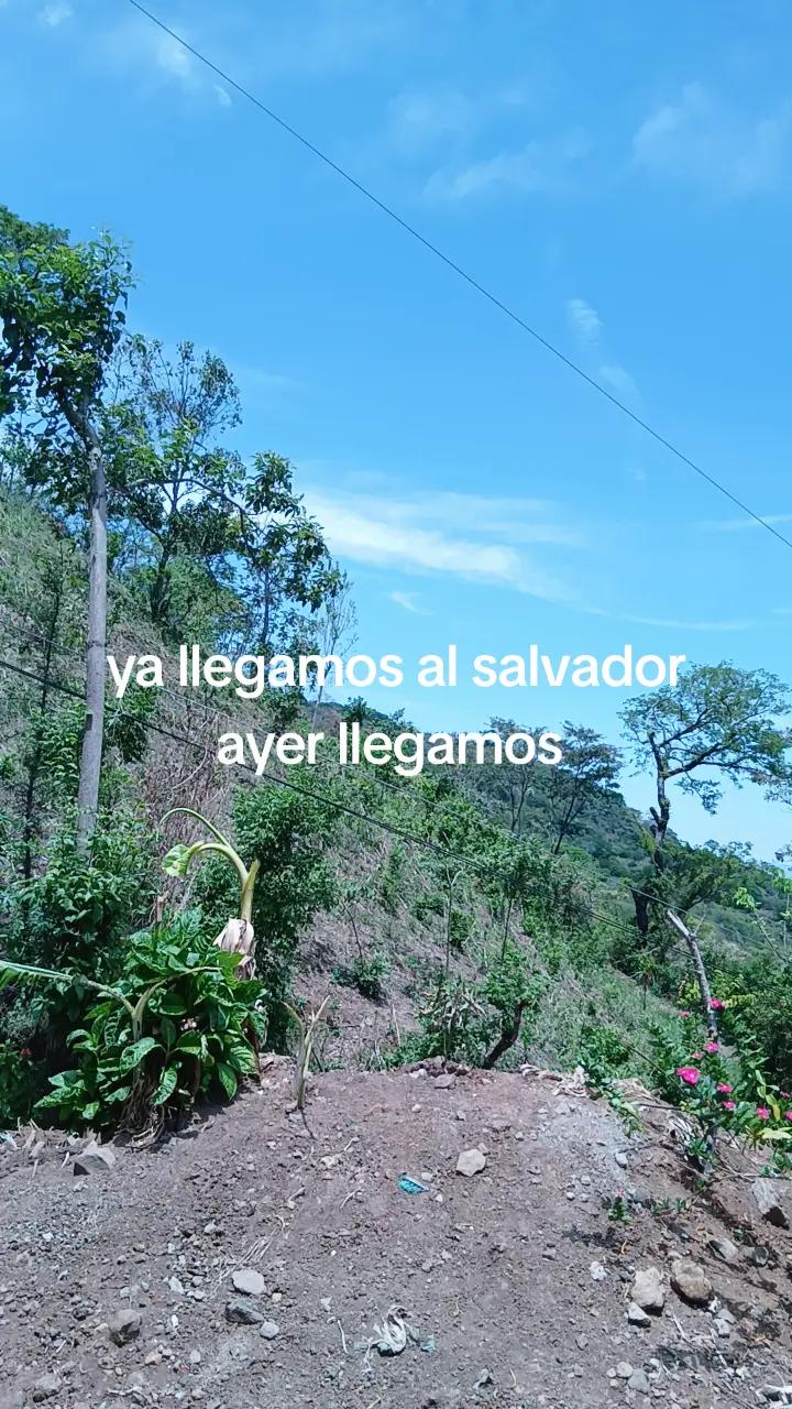 @Samuel Andrade