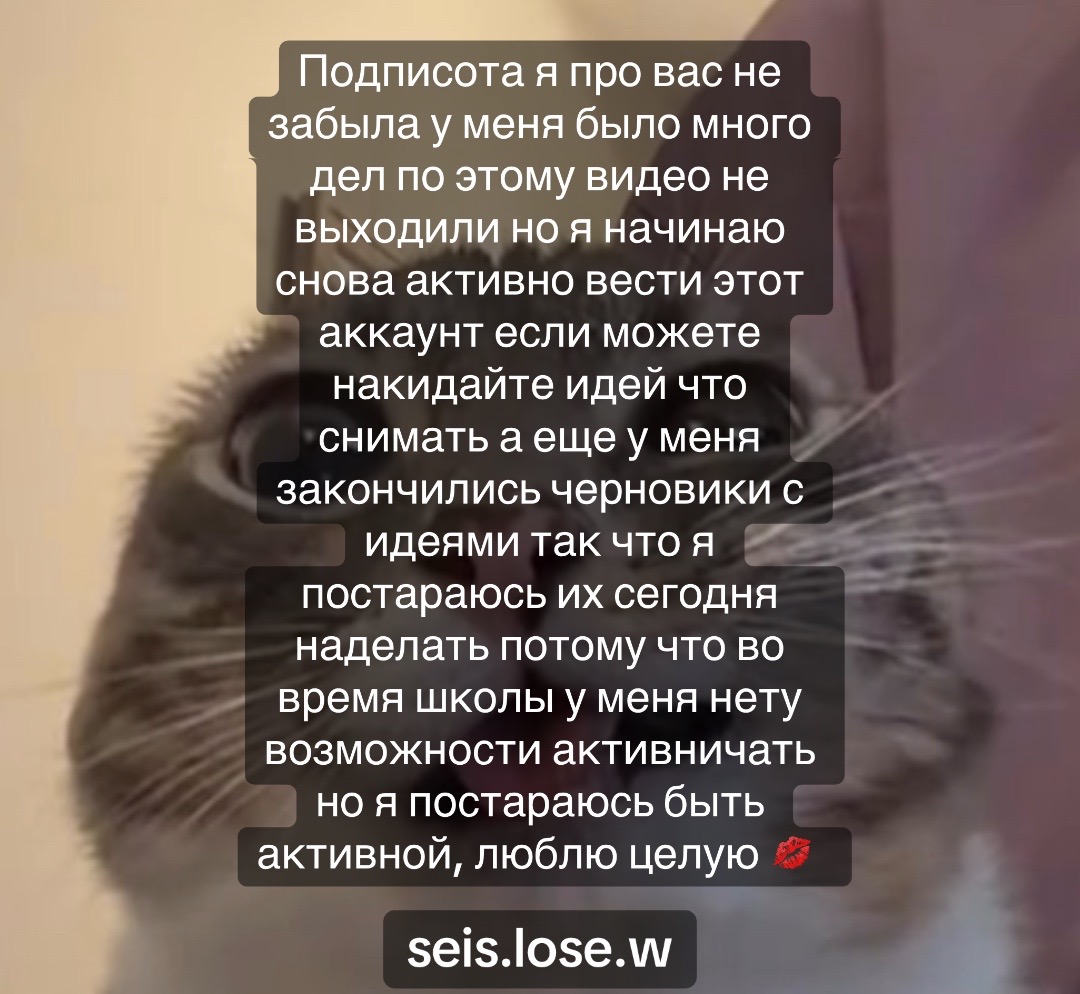 @seis.lose.w