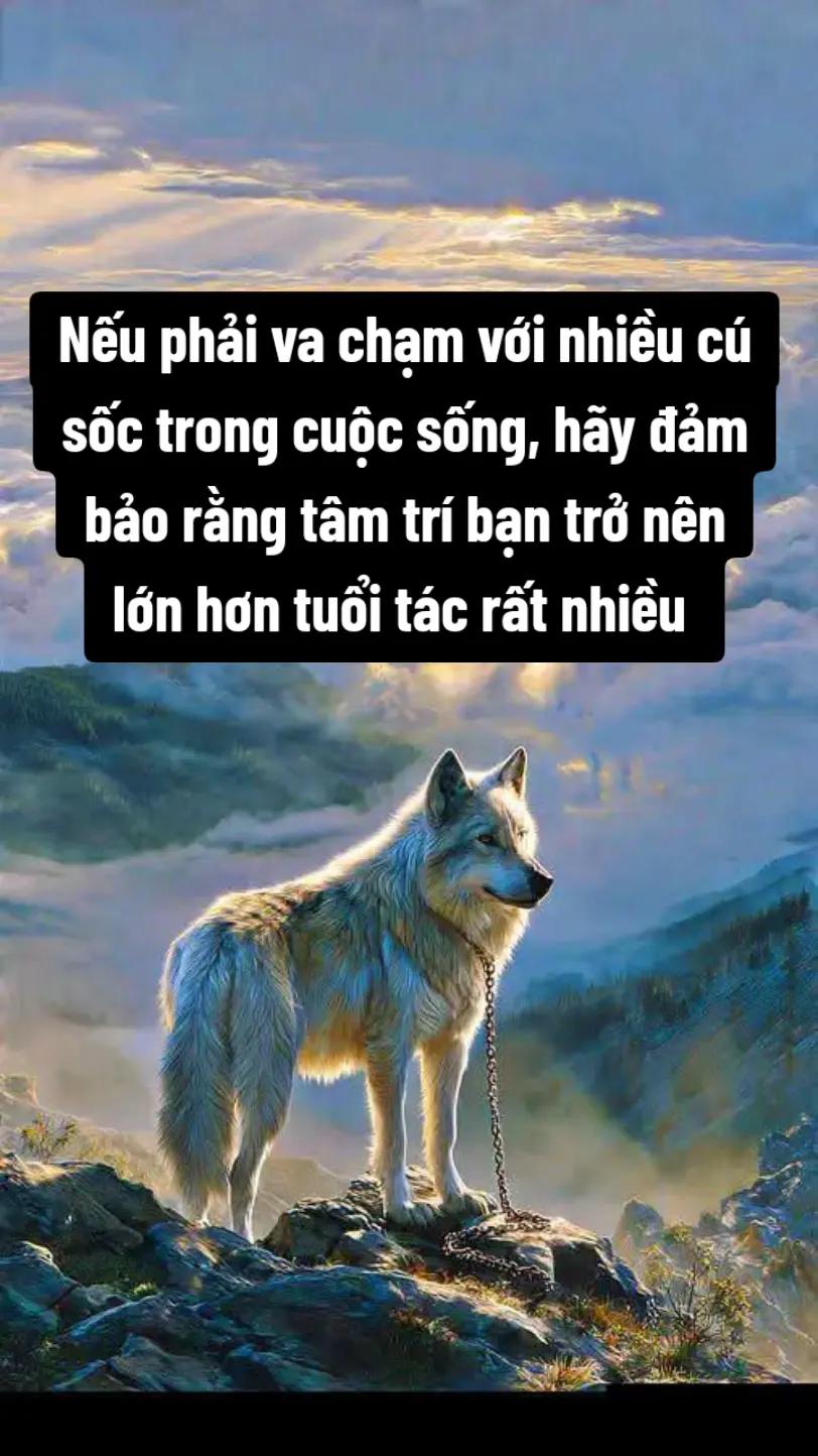 @Chào buổi sáng