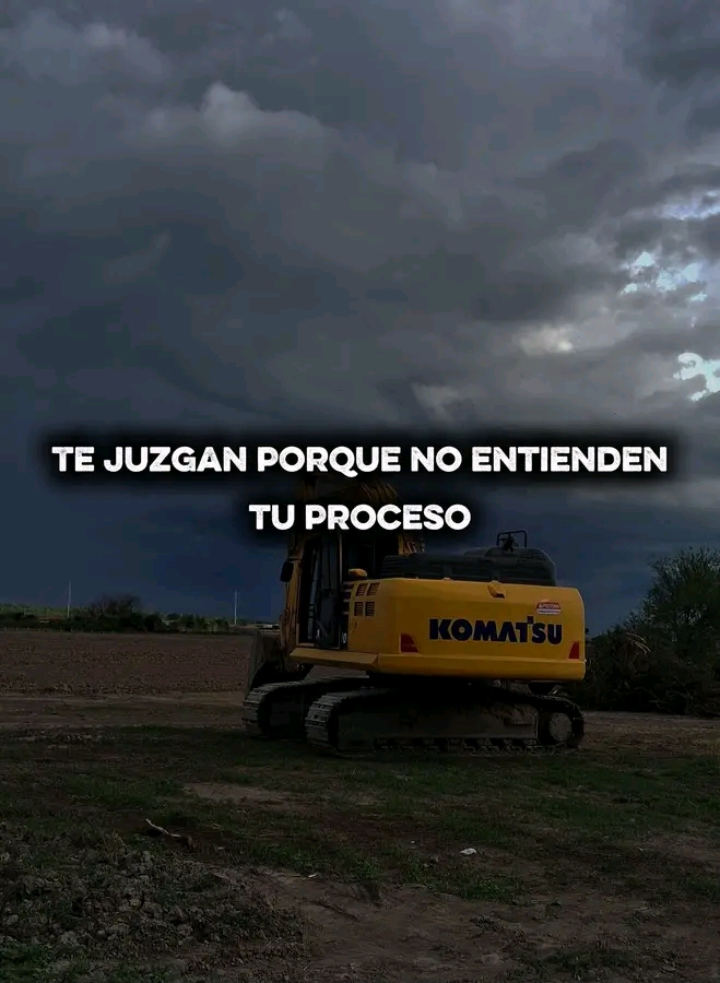 @lobo guerrero 🧑🦽🦿