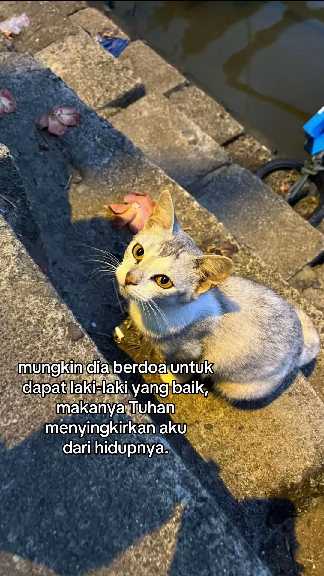 @boy 🕊️