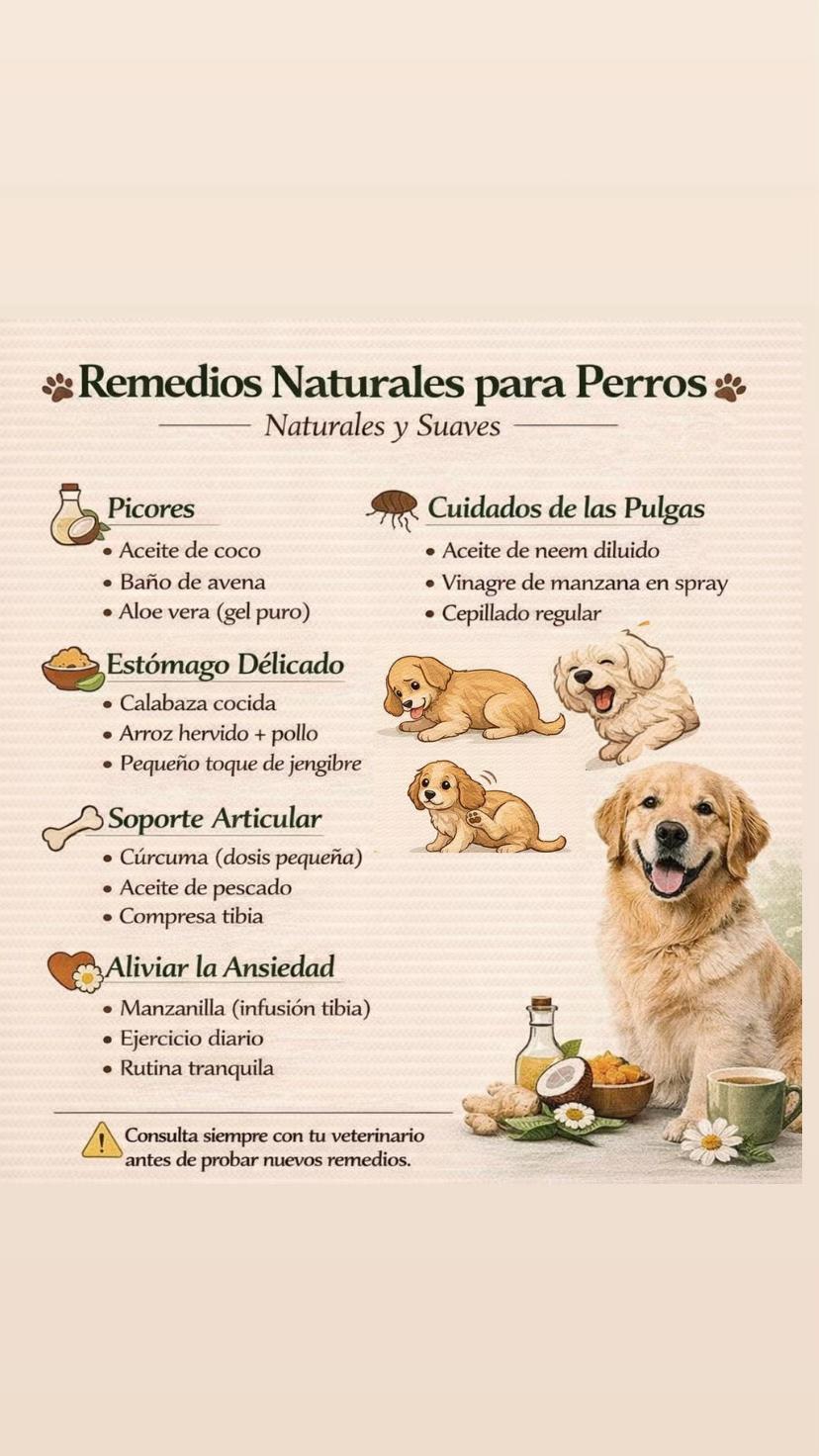 @Todo para tu peludo