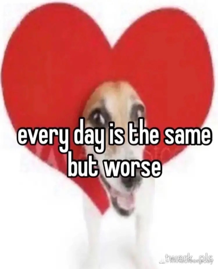 @shigicid