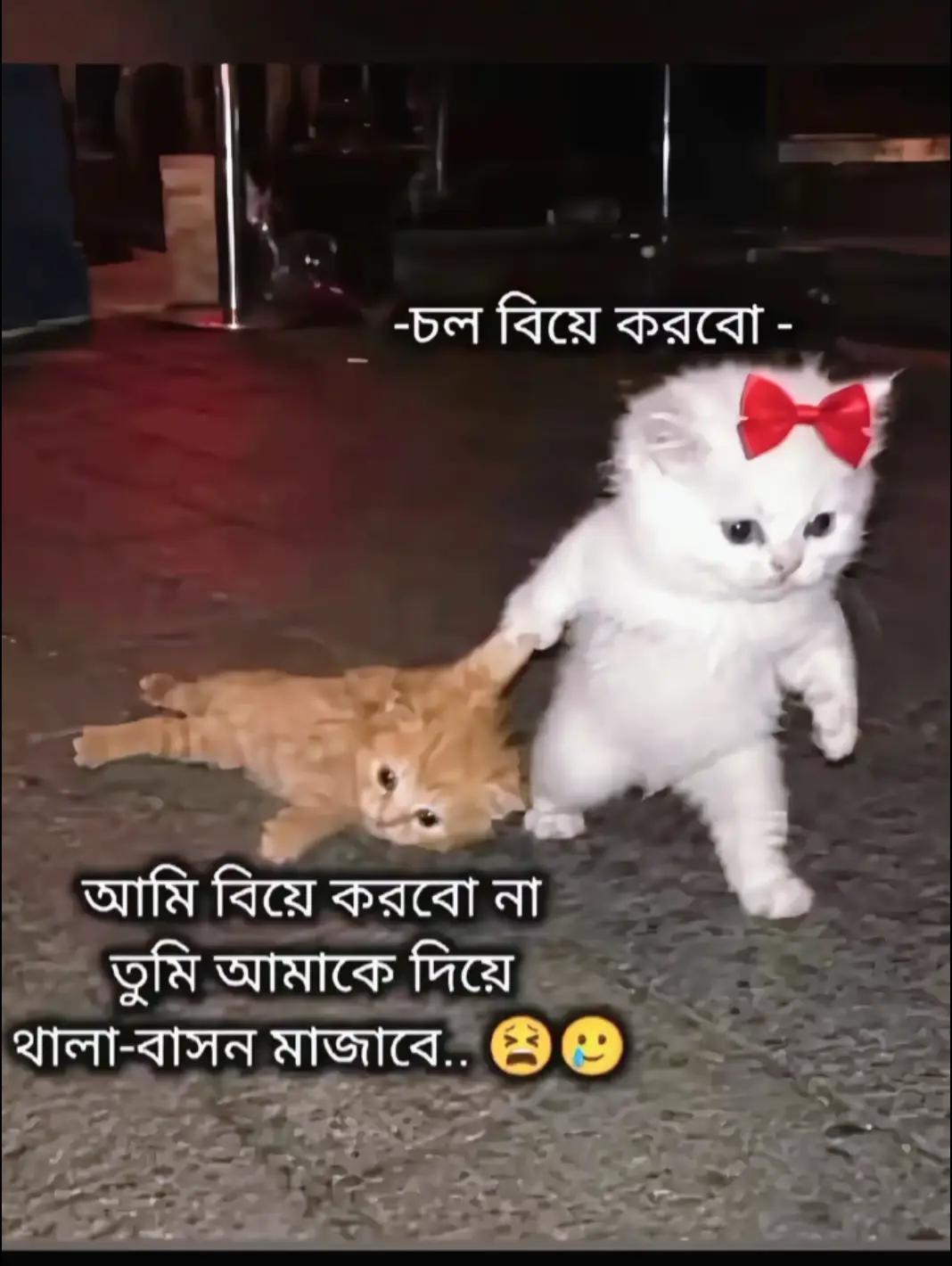 @Disha Bhowmick