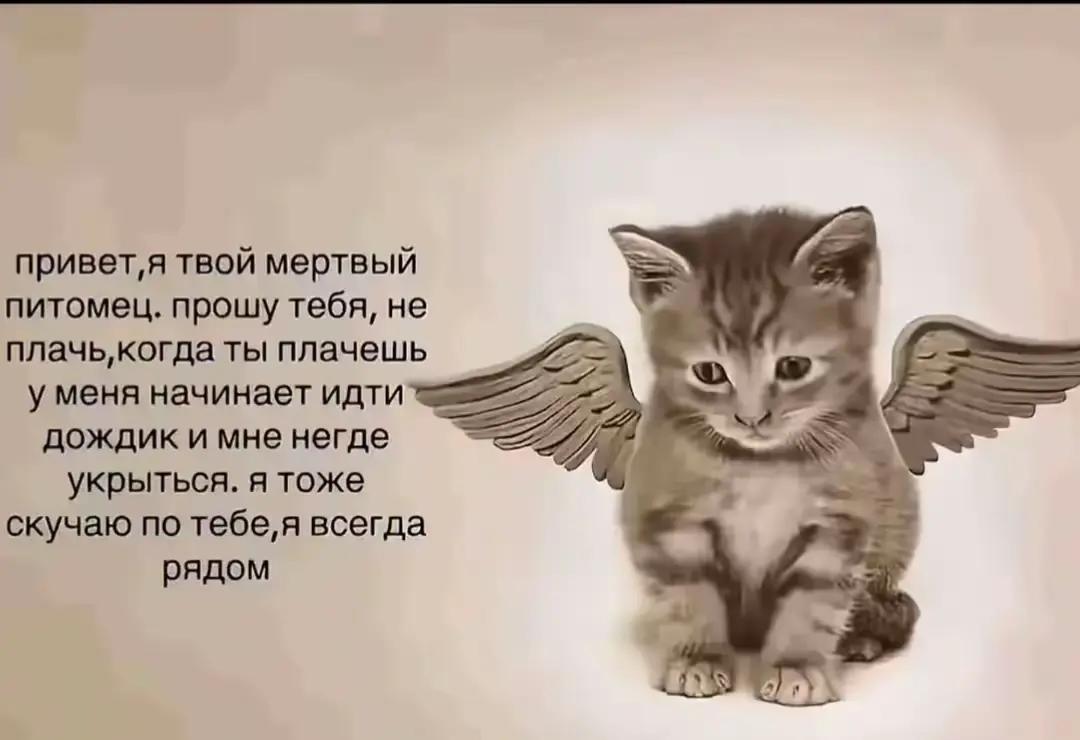 @лина
