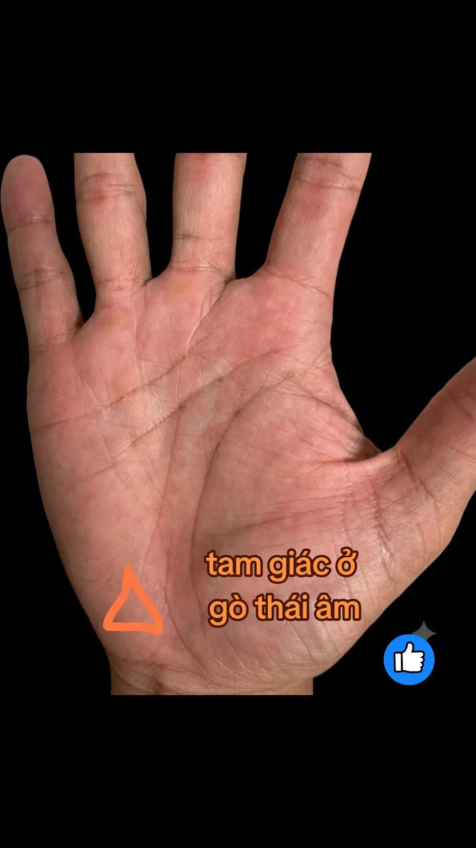 @Nhân Tướng Sửa Mình (Đỗ Lâm)