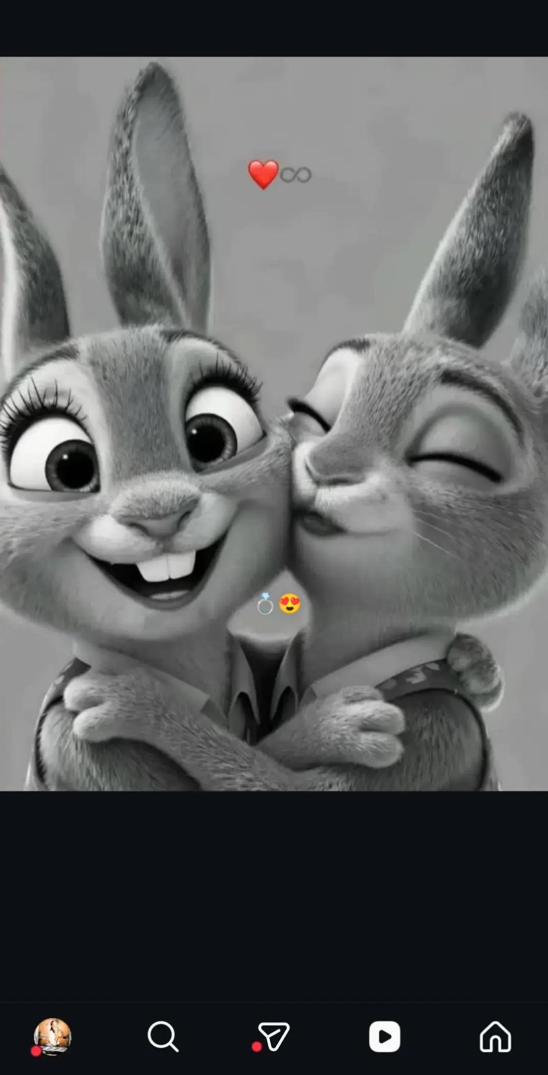 @diiiiiiba😍🐺