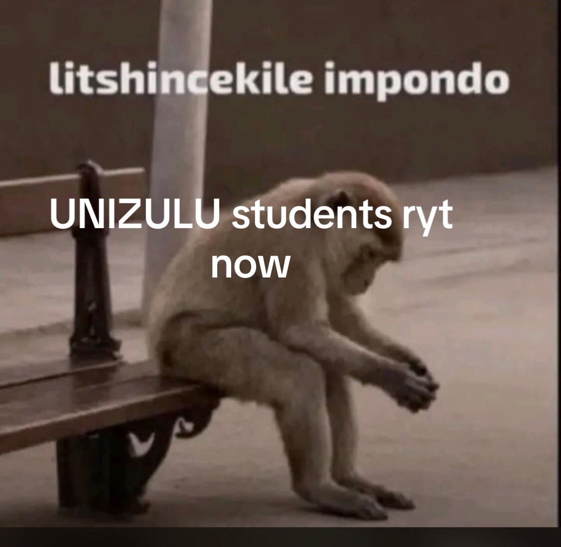 @asphilempungose📍