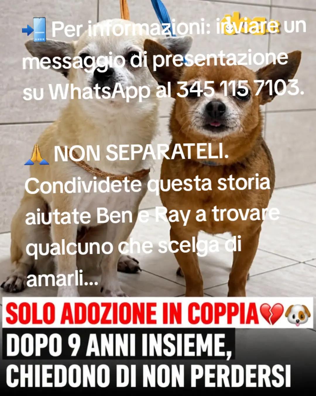 @titty margo lucrezia