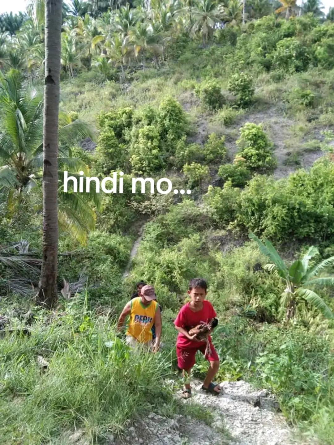 @ken