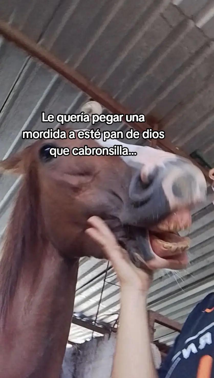 @M.R🤪