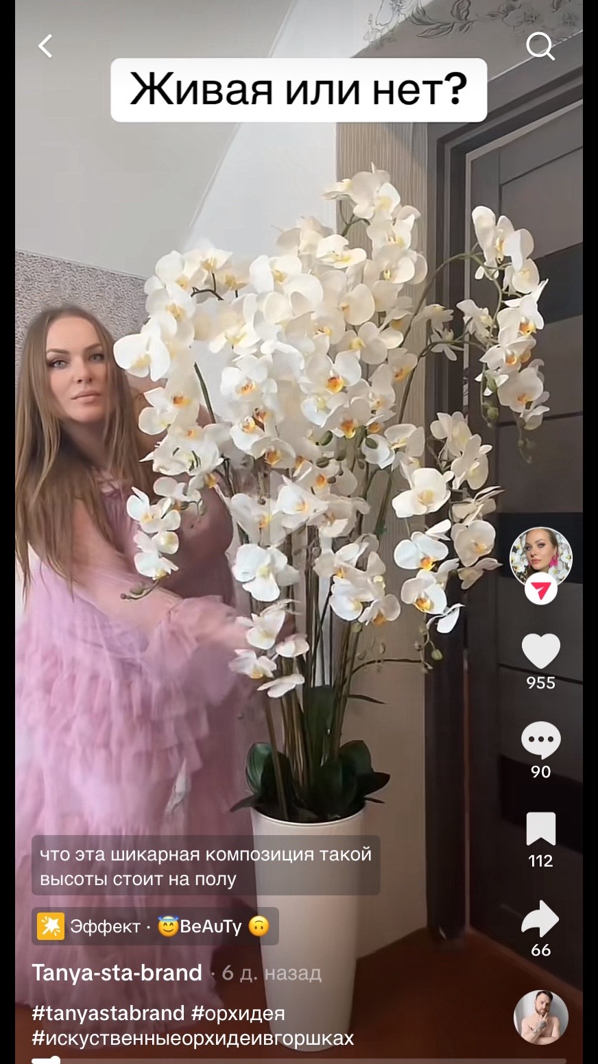 @цветочки_в_горшочках