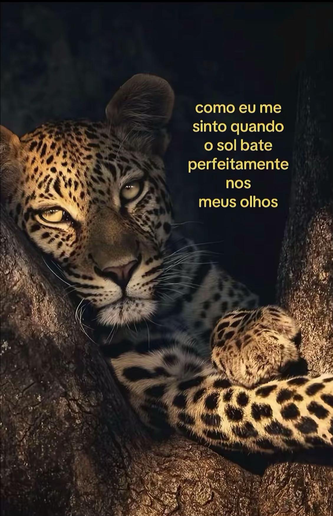 @Marília💞