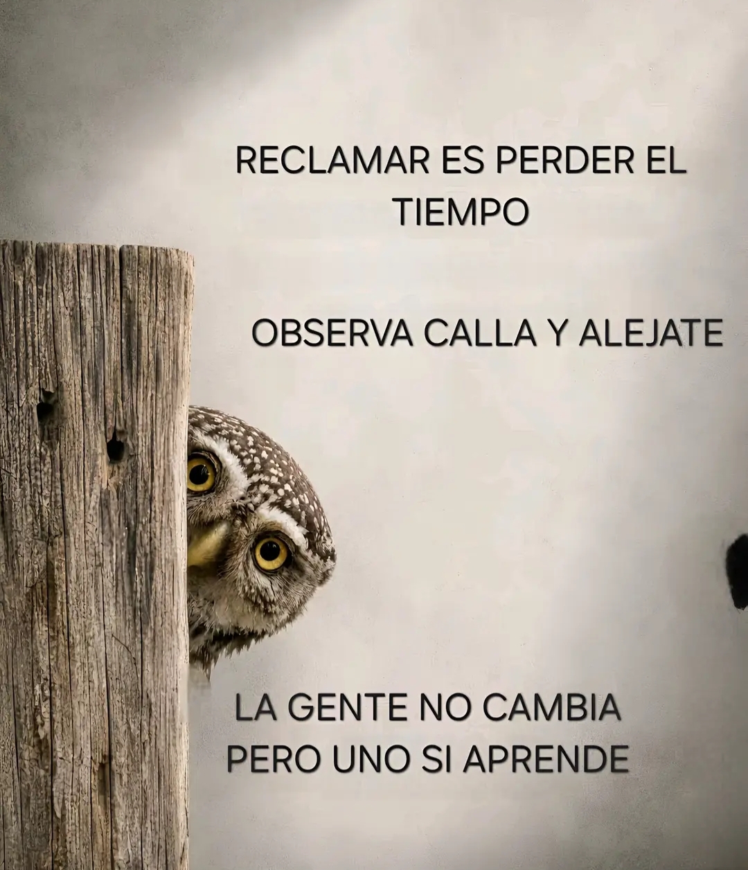 @MAURI73