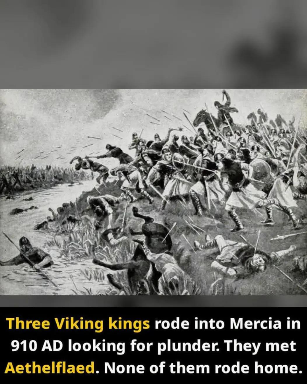 @TZTBOOKMAFIA