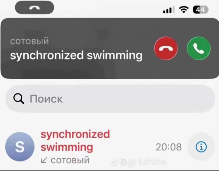 @полина блис