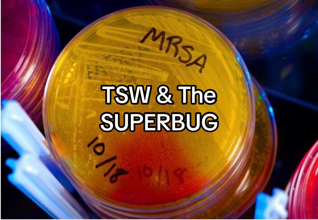 @💜💜❤️🩹TSW with Karyn
