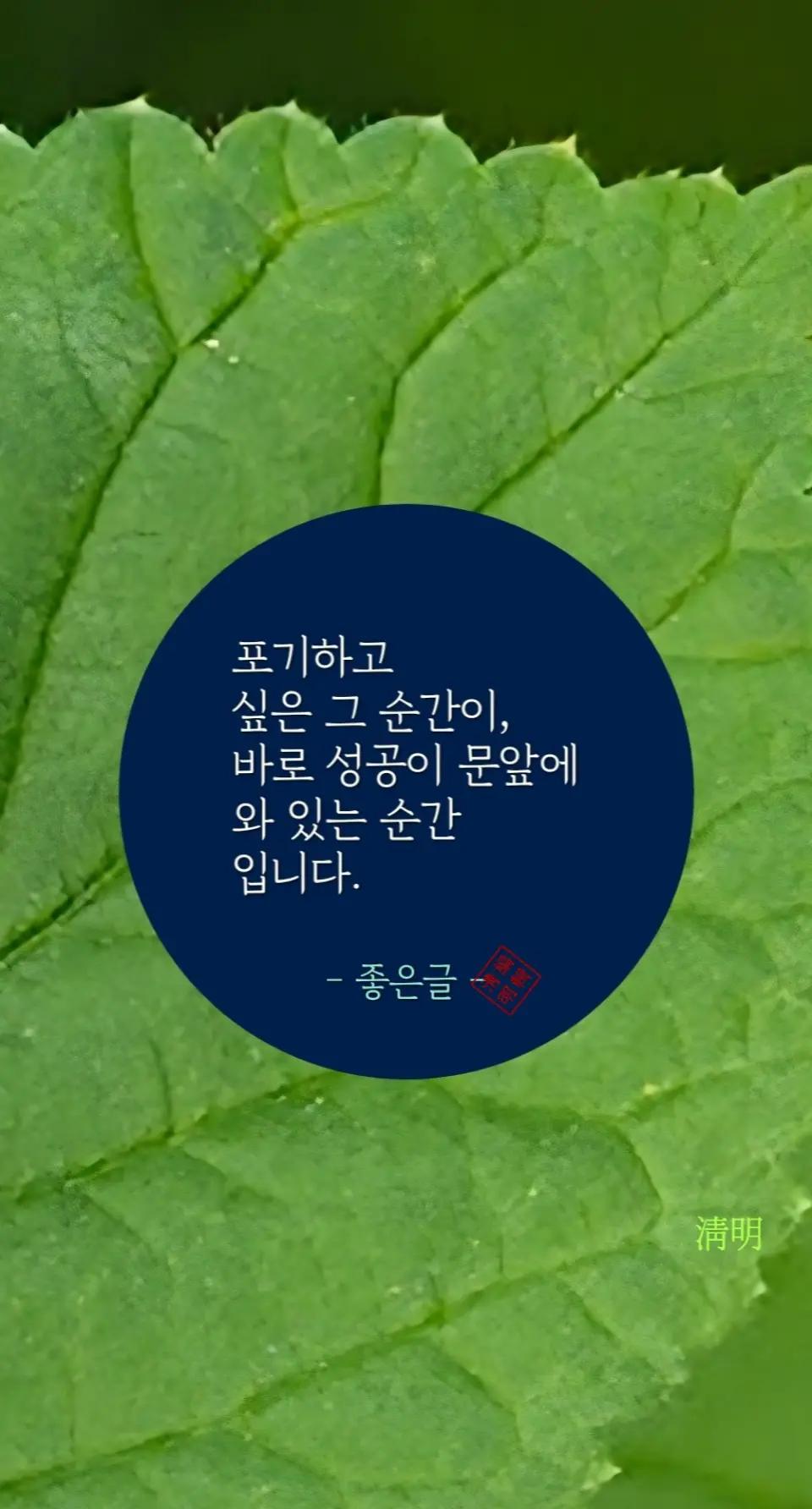 @시인/이정범(淸明)