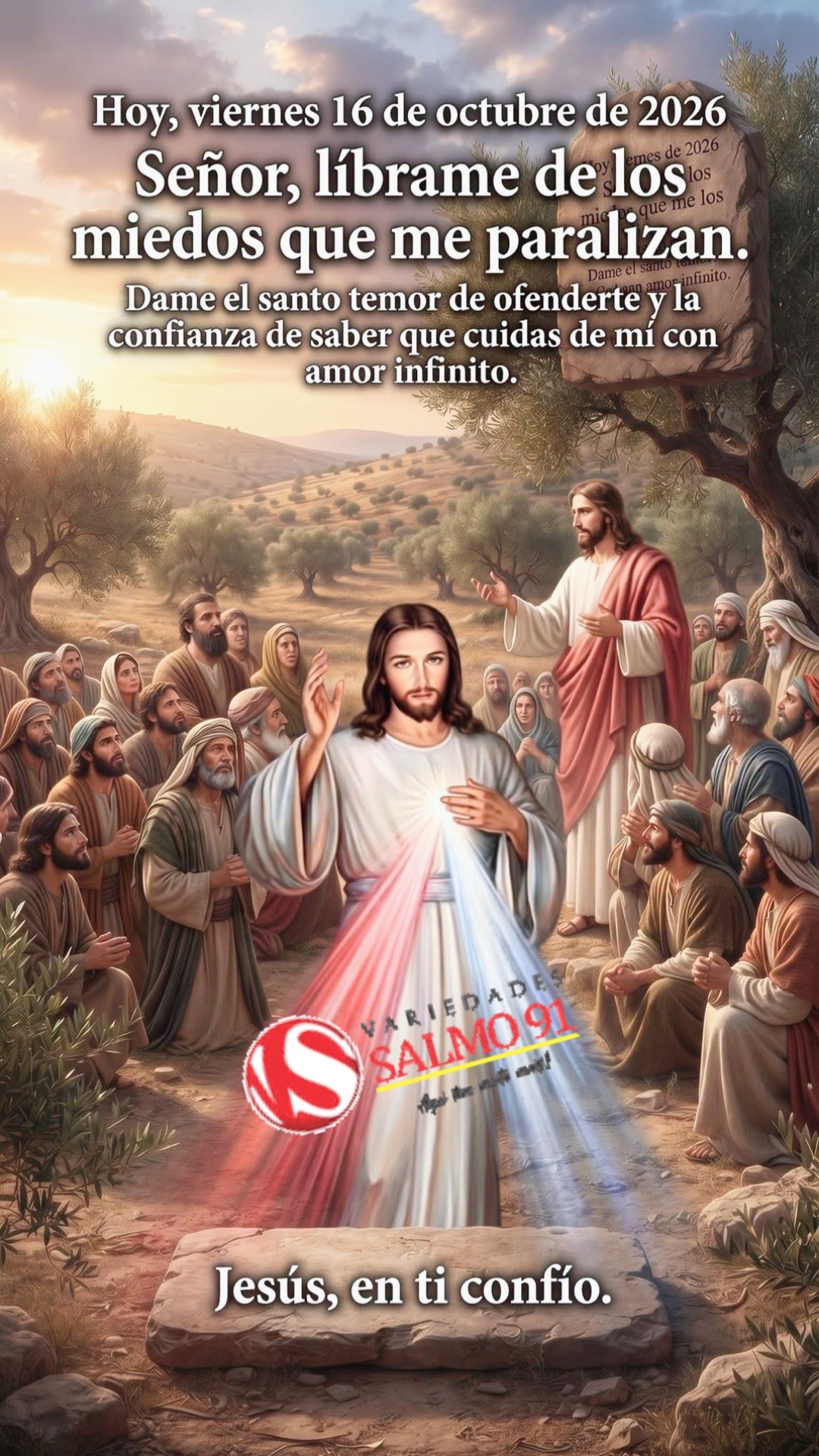 @8luisplaza8