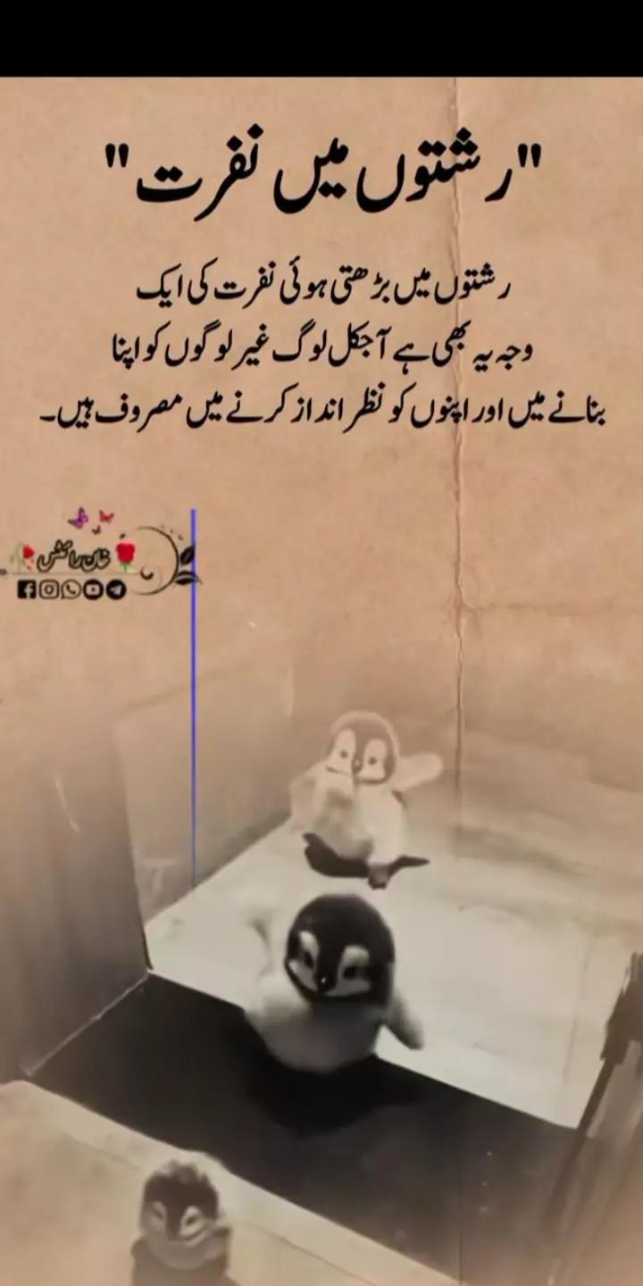 @user35012371301162 Aaya333