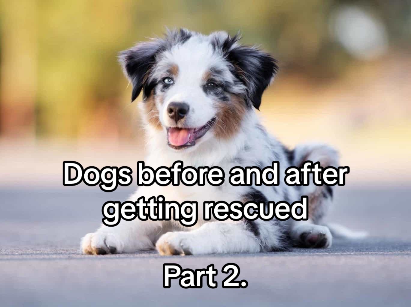 @randomamazingfunfacts