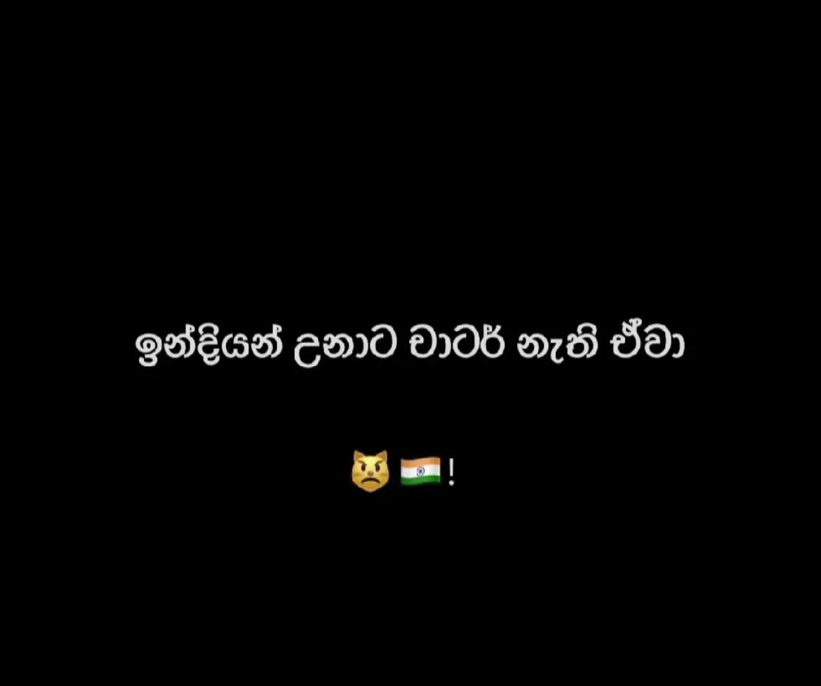 @AVIYA 🐊