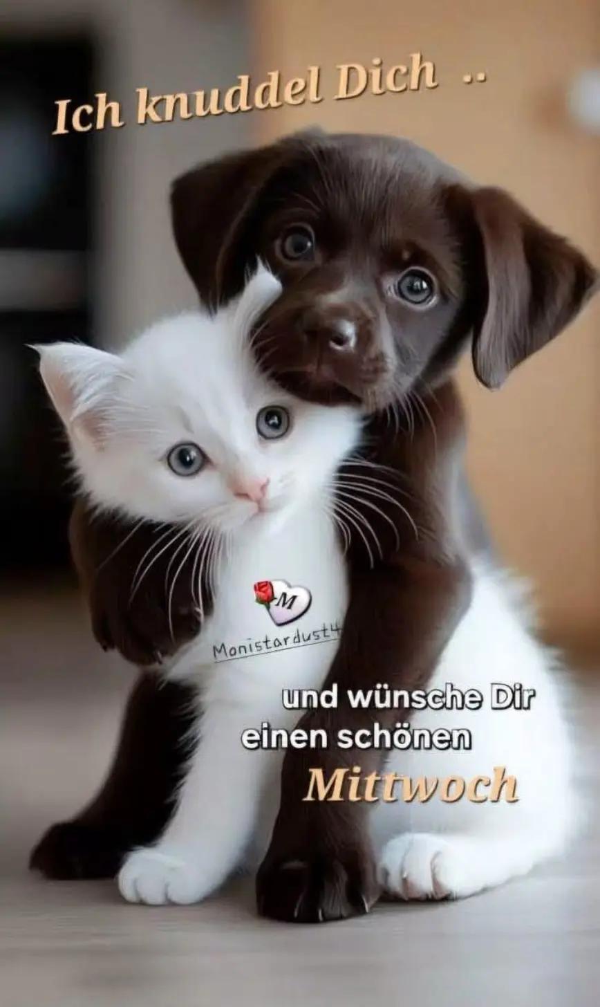 @🤍❤️jacky1893🤍❤️