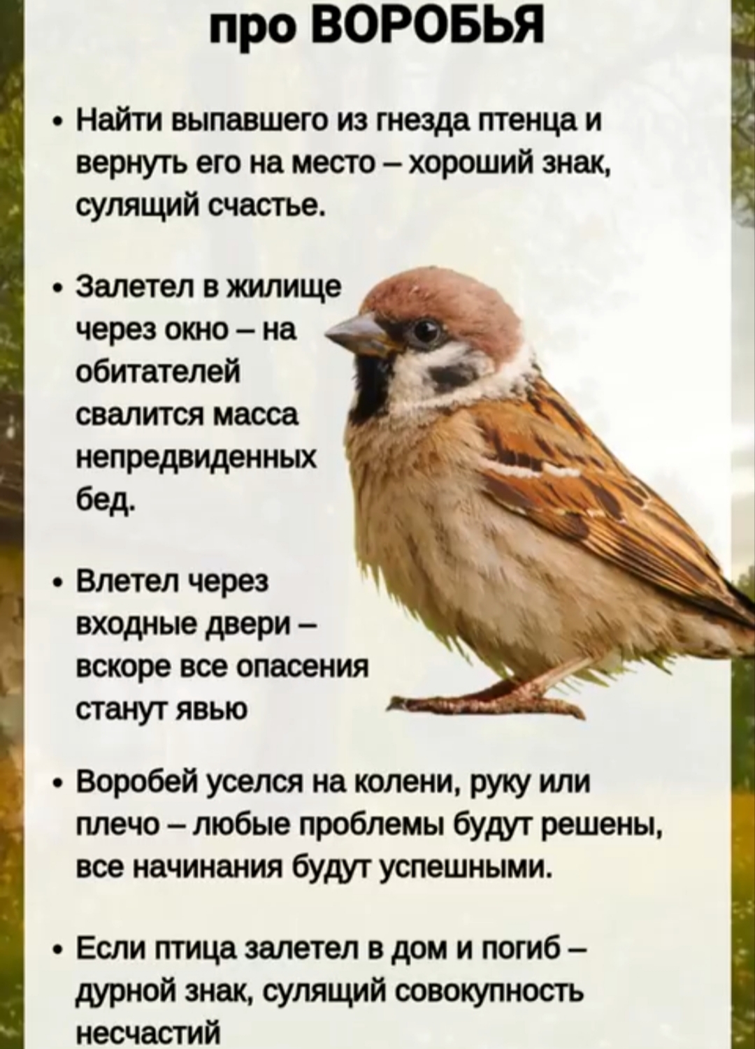 @Натали