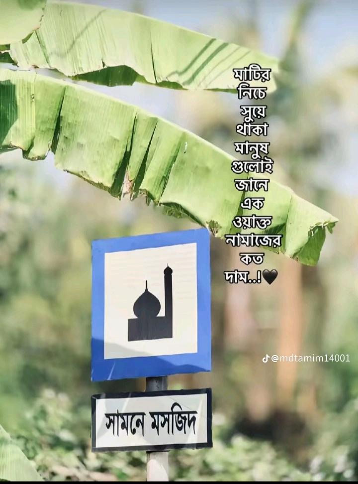 @Wahid Chowdhury