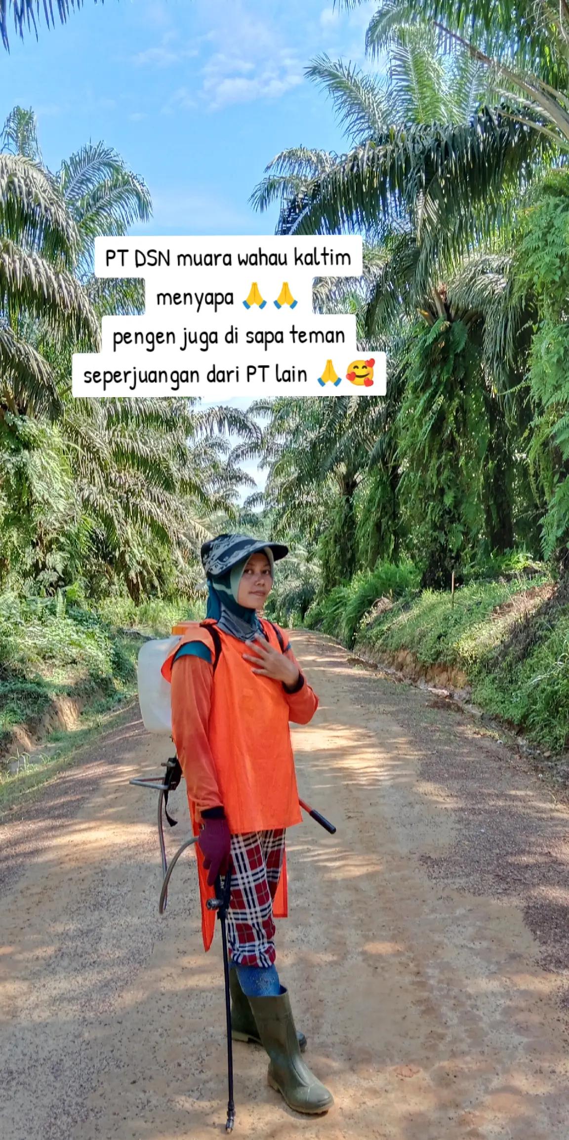 @Daryani yani