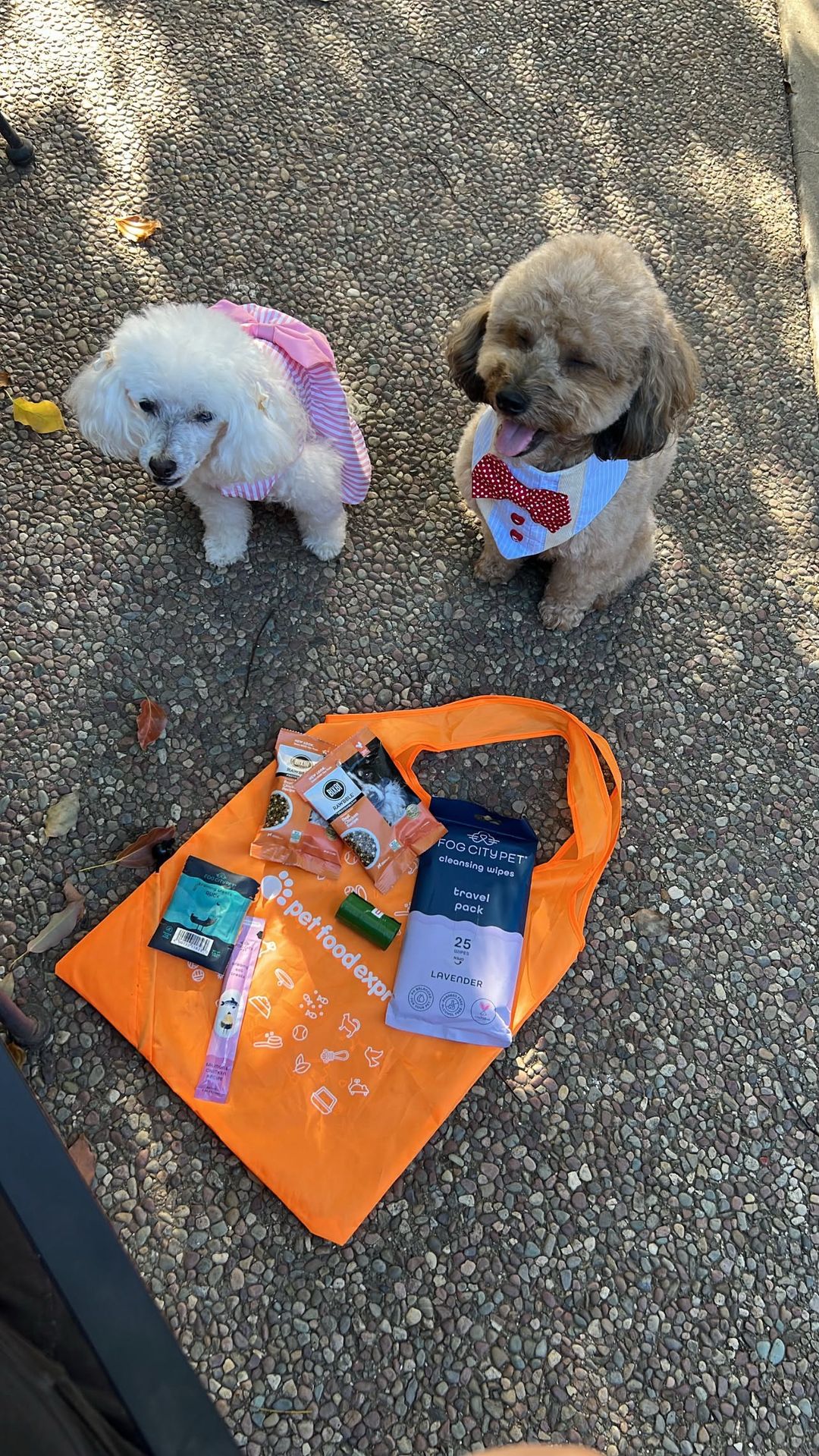 @Pet Food Express