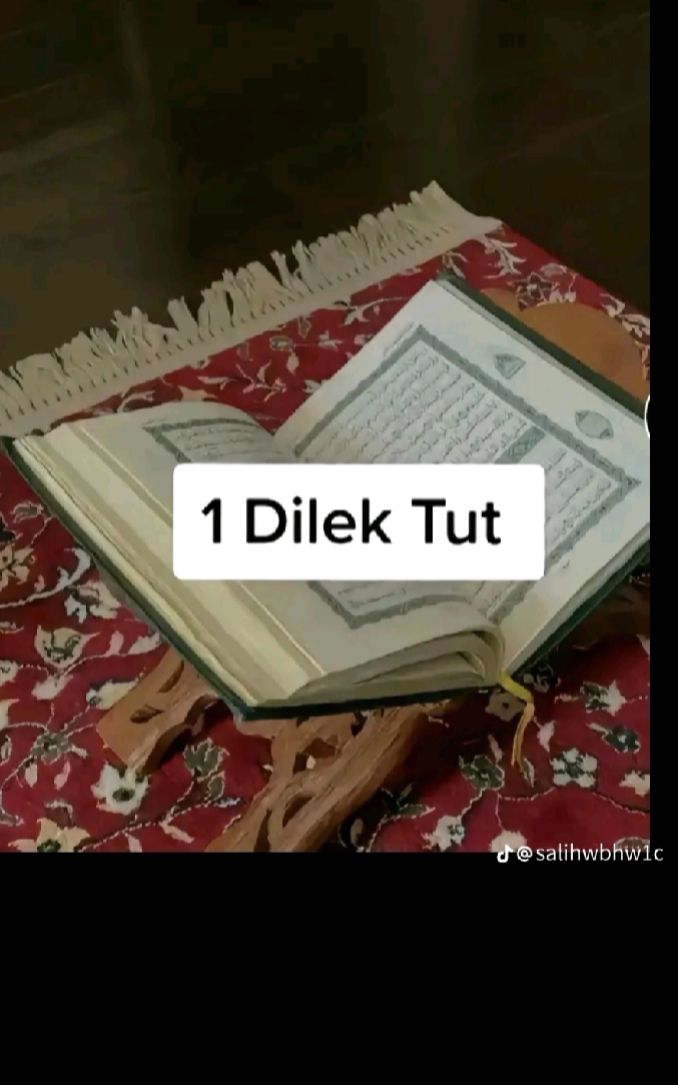 @revsan