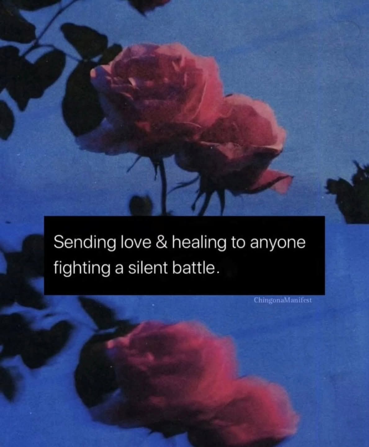 @Laura Jimenez