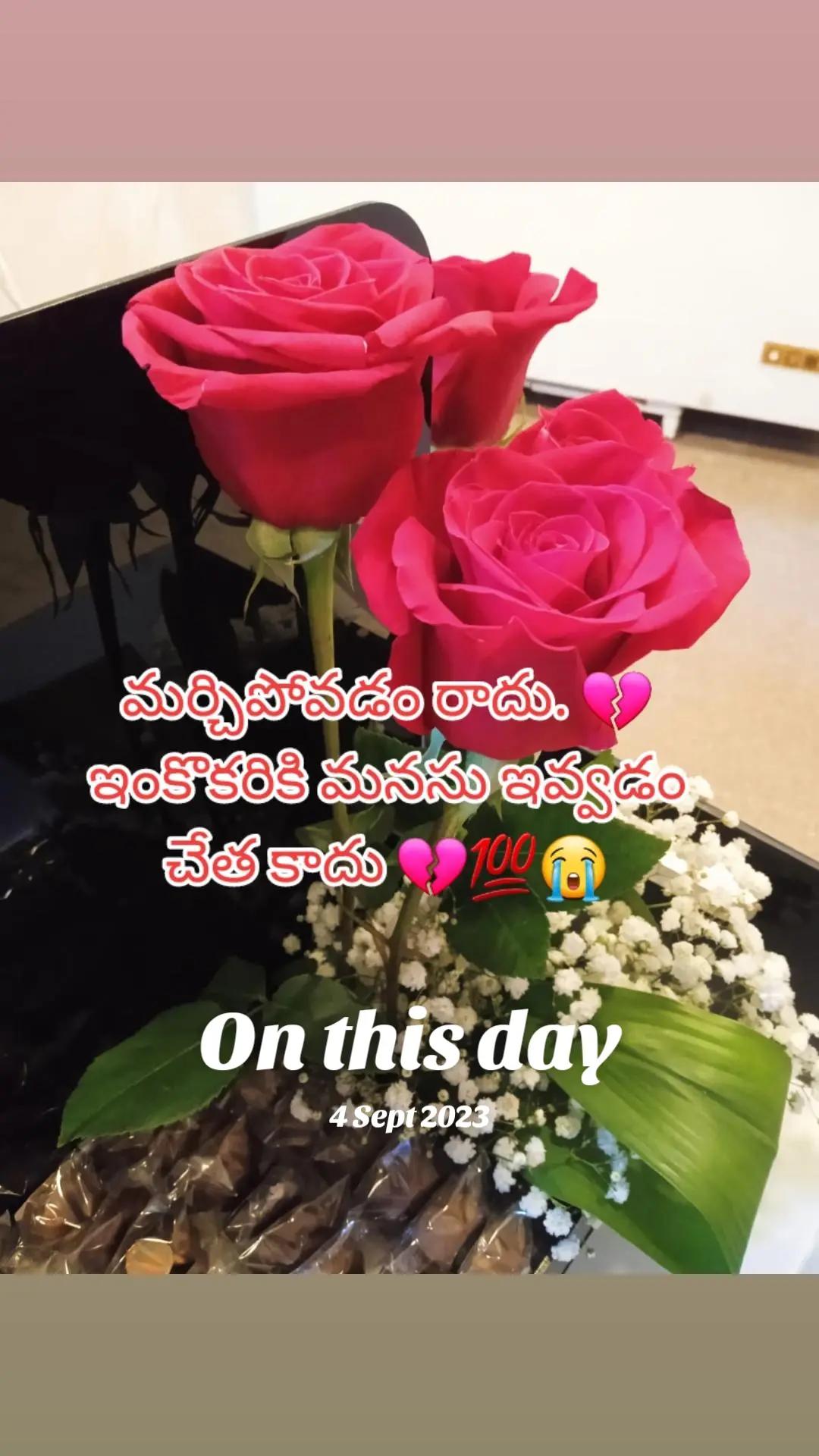 @ˢʸᵉᵈ.𝖈𝖍𝖆𝖓𝖉 𝖇𝖆𝖘𝖍𝖆💞🫵