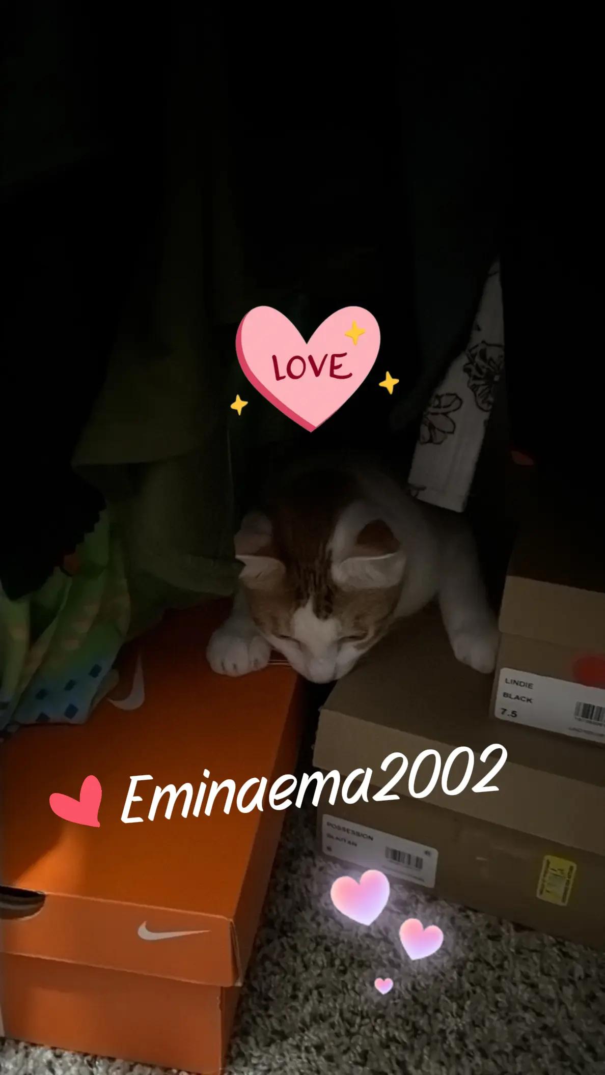 @Eminaema2002