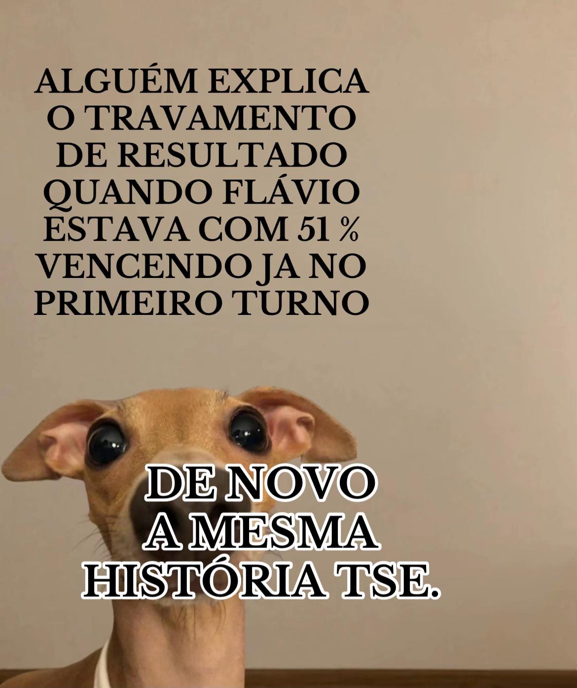 @Paula Vitti
