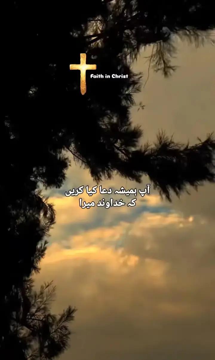 @چٹا صاحب 214✨🖤
