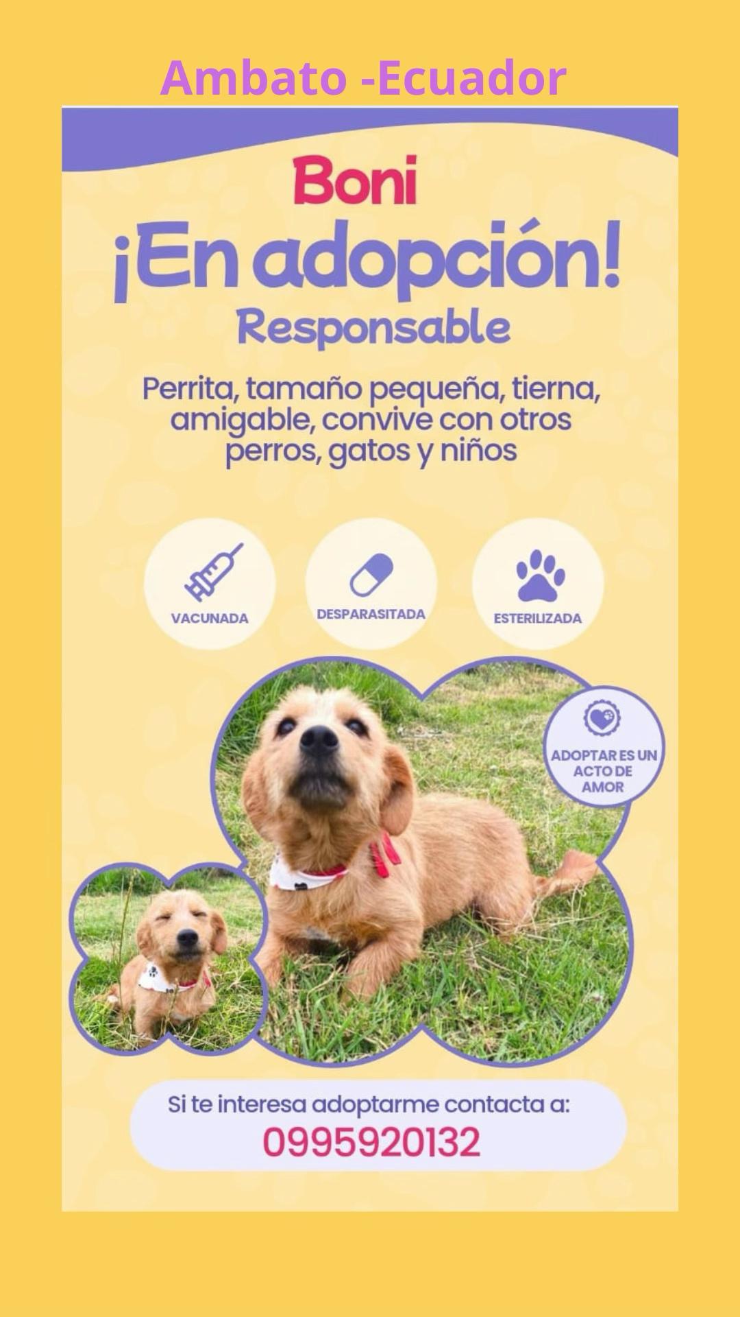 @Amigoscaninos_Ambato