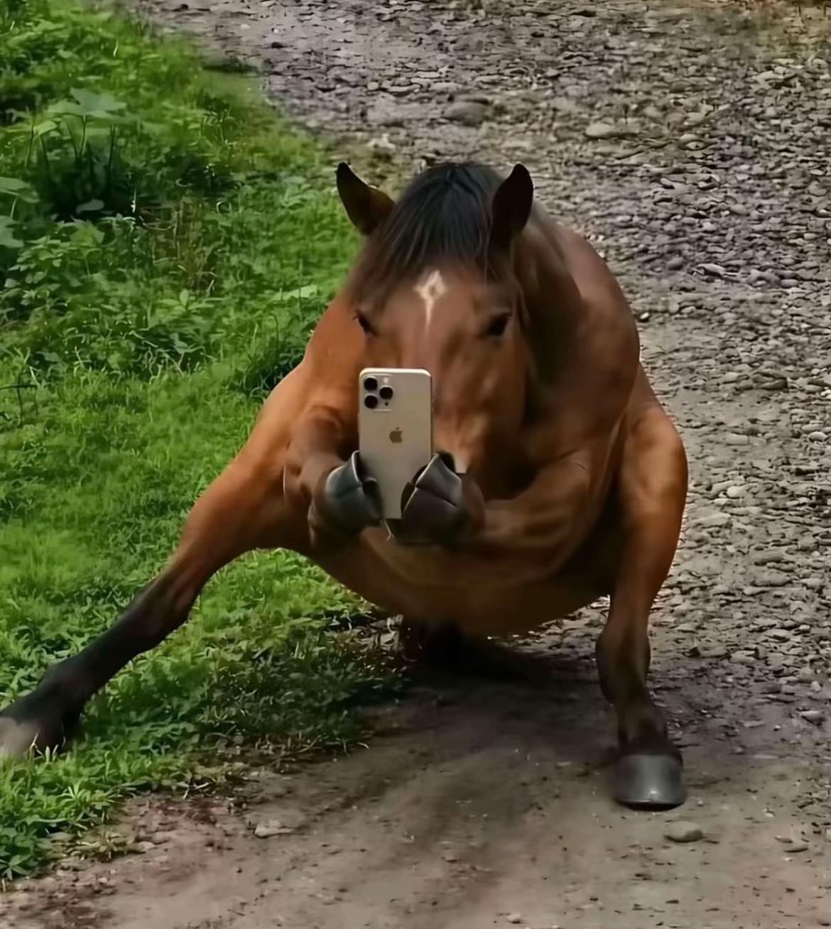 @t0m