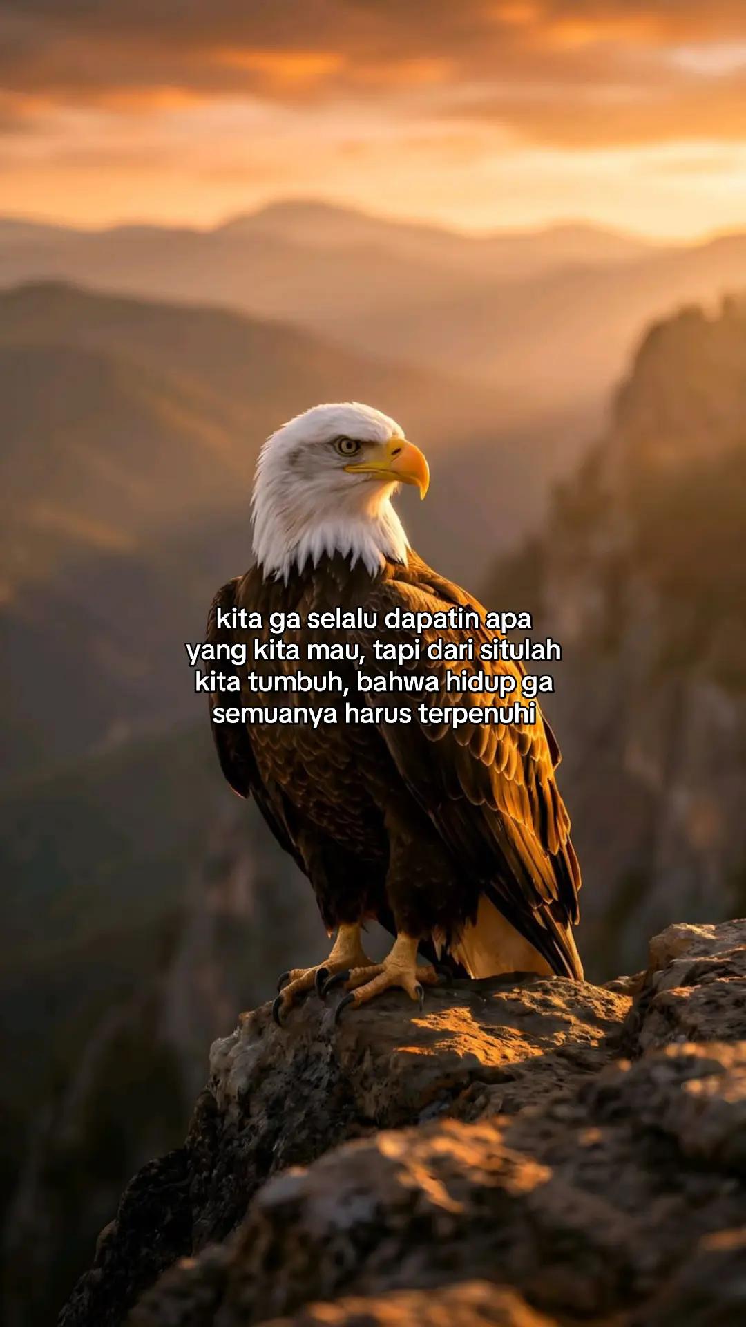 @wisnu23