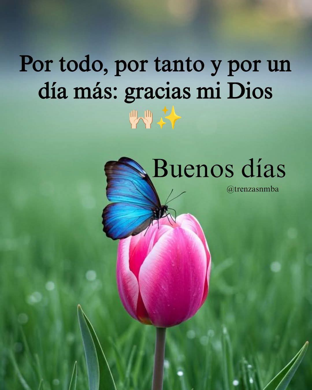 @clararabadan292