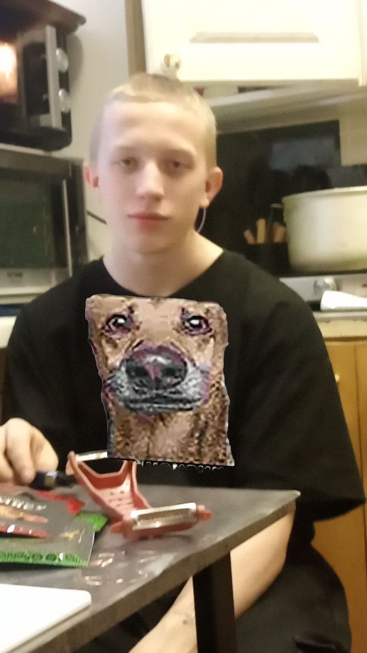@Brain_tf