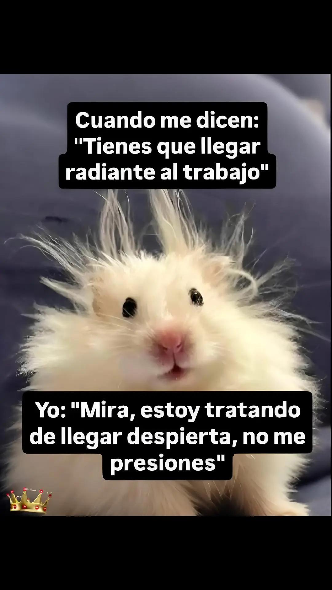 @Karol F.